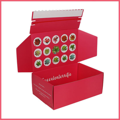 Pantone Color Mailer Verzenddoos Glans Mat Lamineren Gekleurde Mailer Boxen