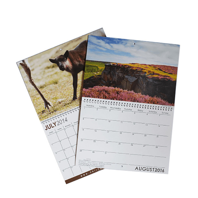 Diverse Groottec2s Kunstdocument Kalenderdruk 128gsm 157gsm 190gsm 210gsm
