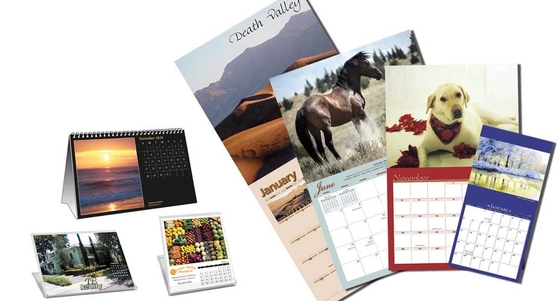 60gsm-400gsm Pantone-kleurenkalender afdrukken Vanishing Animal Wall-kalender