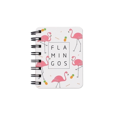 70gsm Mode Leuke A4 Notebooks Mini Spiraal Draad Binding Notebook