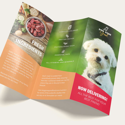 ISO9001 Flyer ontwerp en print Custom Color Professional Flyer Printing